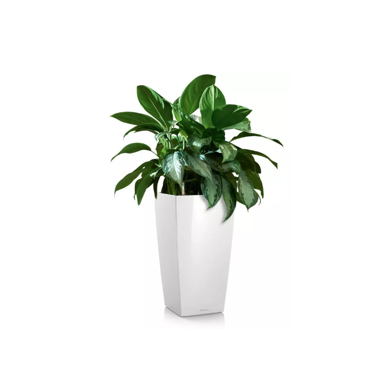 LECHUZA CUBICO Premium hvid hjglans
