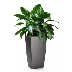 LECHUZA CUBICO Premium koksgr metalic