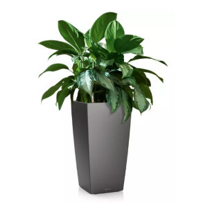 LECHUZA CUBICO Premium koksgr metalic