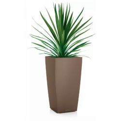 LECHUZA CUBICO Color muskat