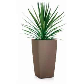 LECHUZA CUBICO Color muskat