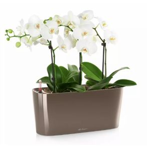 LECHUZA DELTA Grbrun