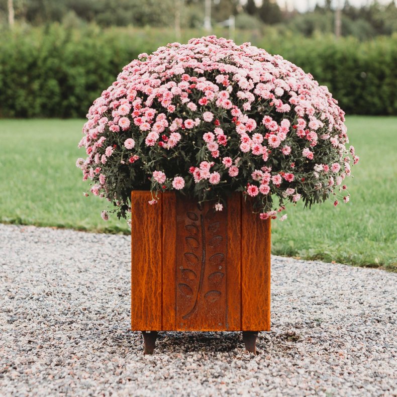 Plantekrukke Fat Ballerina M