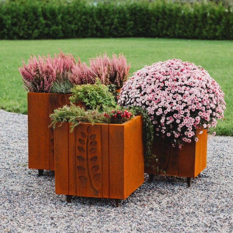 Plantekrukke Fat Ballerina - 3 st