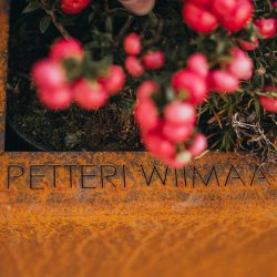 Plantekrukke Fat Ballerina - 3 st