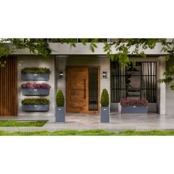 Square Wolf - medium