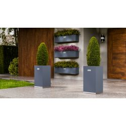 Square Wolf - medium