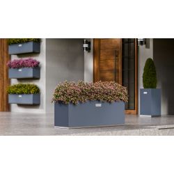 Regtangular Wolf - large