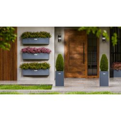 Square Wolf - medium