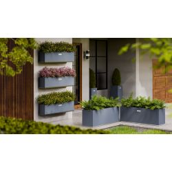 Regtangular Wolf - large