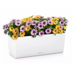 LECHUZA BALCONERA Color Hvid