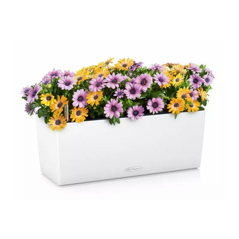 LECHUZA BALCONERA Color Hvid