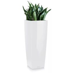 LECHUZA CUBICO Alto hvid hjglans 