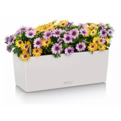 LECHUZA BALCONERA Color Lys gr�