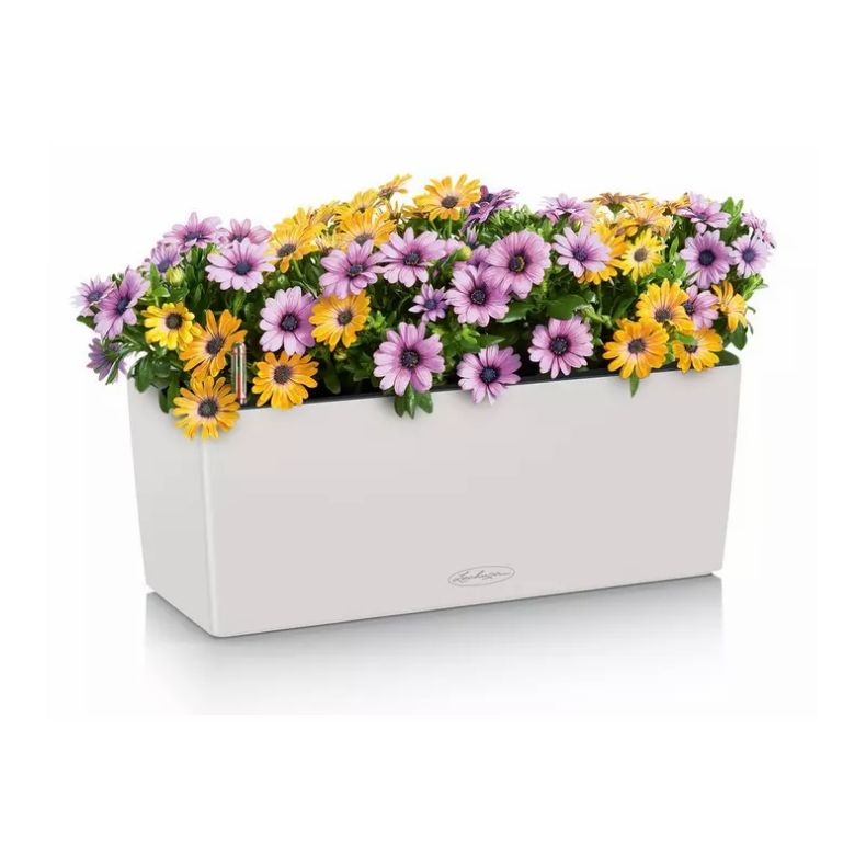 LECHUZA BALCONERA Color Lys gr�