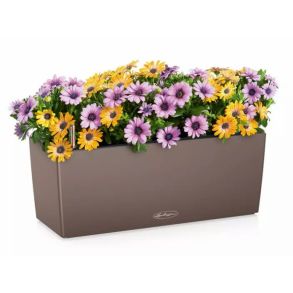 LECHUZA BALCONERA Color Muscat