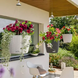 LECHUZA NIDO Cottage Sandbrun