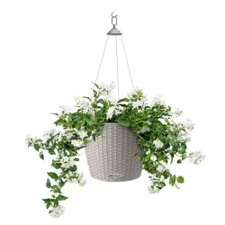 LECHUZA NIDO Cottage Sandbrun