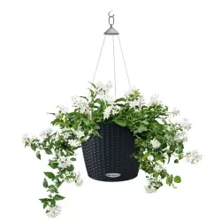 LECHUZA NIDO Cottage Graphit black