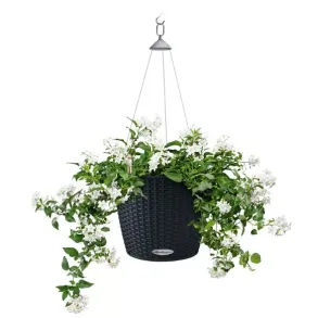 LECHUZA NIDO Cottage Graphit black