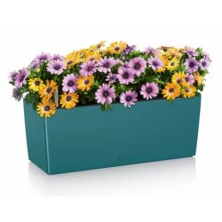 LECHUZA BALCONERA Color Petroleum