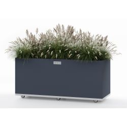 Regtangular Wolf - large