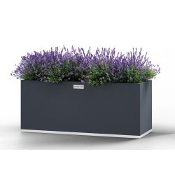 Regtangular Wolf - large