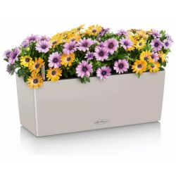 LECHUZA BALCONERA Color Sandbrun