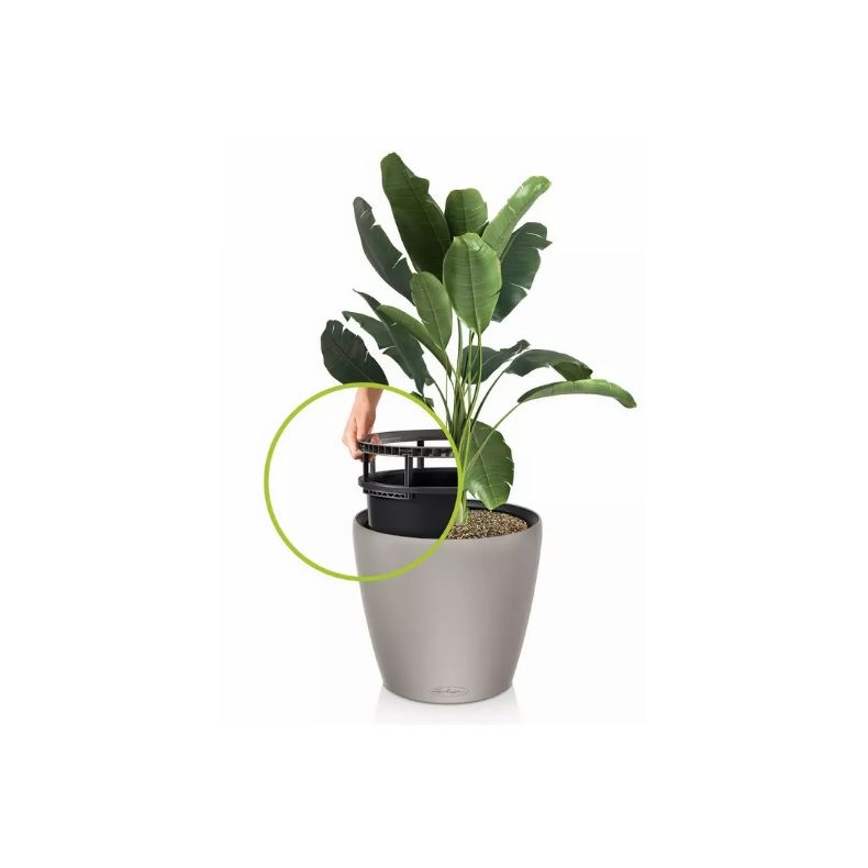 Classico Color LS - Sandbrun