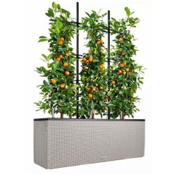 LECHUZA TRIO Cottage - Sandbrun