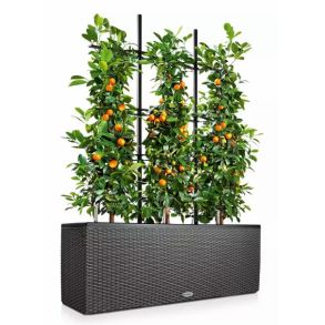 LECHUZA TRIO Cottage - graphite black