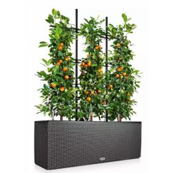 LECHUZA TRIO Cottage - Granit