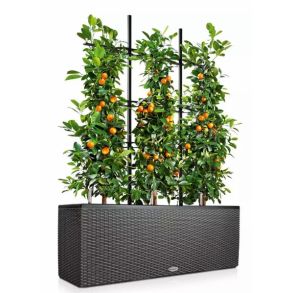 LECHUZA TRIO Cottage - Granit