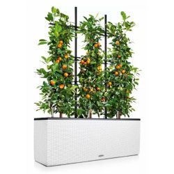 LECHUZA TRIO Cottage - Hvid