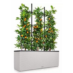 LECHUZA TRIO Cottage - Lys gr