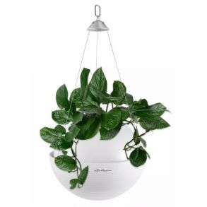 LECHUZA BOLA Color hvid