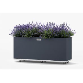 Regtangular Wolf - small