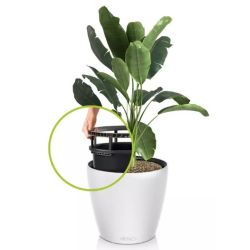 Classico Color LS - Hvid