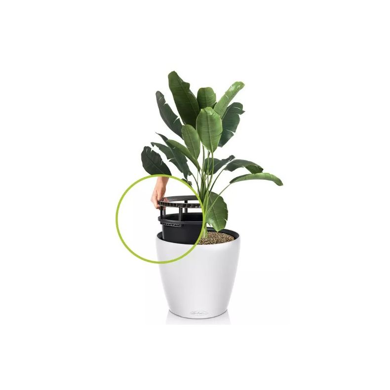 Classico Color LS - Hvid