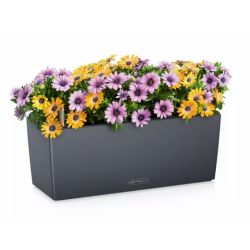 LECHUZA BALCONERA Color Skiffer