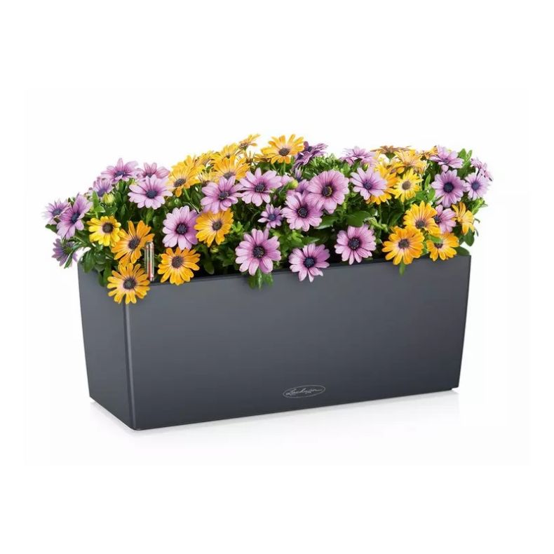 LECHUZA BALCONERA Color Skiffer