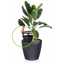 Classico Color LS - Skiffer