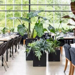 LECHUZA CANTO Stone low - graphite black