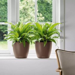 LECHUZA CLASSICO Color Hvid