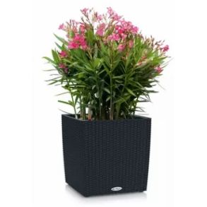 LECHUZA CUBE Cottage Graphite black