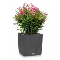 LECHUZA CUBE Cottage Granit