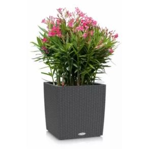 LECHUZA CUBE Cottage Granit