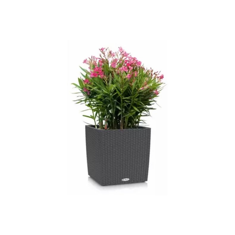 LECHUZA CUBE Cottage Granit
