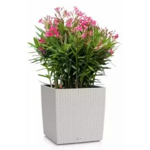 LECHUZA CUBE Cottage Lys gr