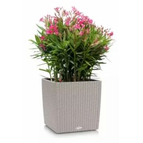 LECHUZA CUBE Cottage Sandfarvet